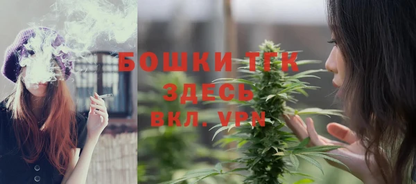 mdpv Дмитриев