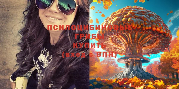 спайс Дмитровск